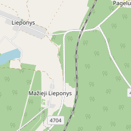 Map - Trakų r. sav. Lieponių k. Liepų g. 43