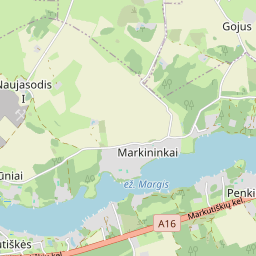 Map - Trakų r. sav. Penkininkų k. Markutiškių kel. 60