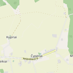 Žemėlapis - Biržų r. sav. Čypėnų k.