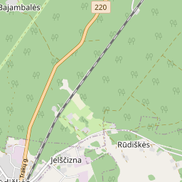 Žemėlapis - Trakų r. sav. Rūdiškių m. Naujoji g. 17-8