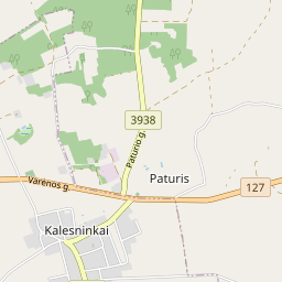 Žemėlapis - Šalčininkų r. sav. Stačionių k.