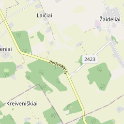 Žemėlapis - Kupiškio r. sav. Žaidelių k. Beržytės g. 15