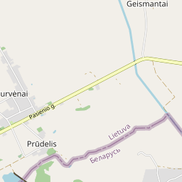 Žemėlapis - Šalčininkų r. sav. Purvėnų k. Naujoji g. 4B