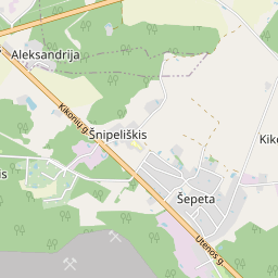 Žemėlapis - Kupiškio r. sav. Aleksandrijos k. Kikonių g. 14