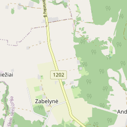 Map - Anykščių r. sav. Zabelynės k. 1A