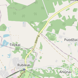 Žemėlapis - Anykščių r. sav. Rubikių k. Čentupio g. 3