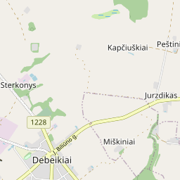 Žemėlapis - Anykščių r. sav. Debeikių mstl. J. Biliūno g. 44