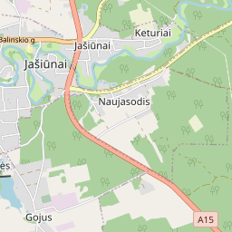 Žemėlapis - Šalčininkų r. sav. Jašiūnų mstl. Lydos g. 16