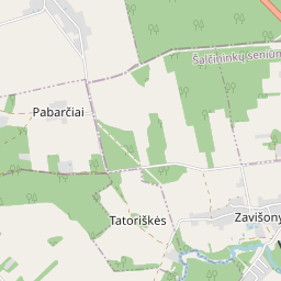 Map - Šalčininkų r. sav. Zavišonių k. Visinčios g. 10