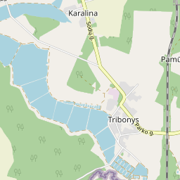 Map - Šalčininkų r. sav. Tribonių k. Ramioji g. 6