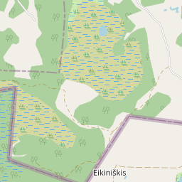 Žemėlapis - Rokiškio r. sav. Eikiniškio k.