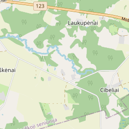 Map - Rokiškio r. sav. Martiniškėnų k.