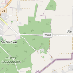 Žemėlapis - Šalčininkų r. sav. Šalčininkų k.