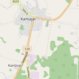 Map - Rokiškio r. sav. Kamajų mstl. Ateities g. 4