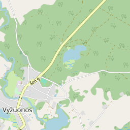 Карта - Utenos r. sav. Vyžuonų mstl.