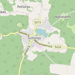Map - Vilniaus r. sav. Sužionių k. Vilniaus g. 6A