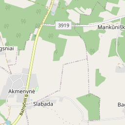 Žemėlapis - Šalčininkų r. sav. Akmenynės k. Bažnyčios g. 47