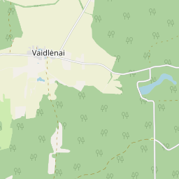 Карта - Rokiškio r. sav. Vaidlėnų k. Vaidlėnų g. 21