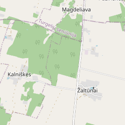 Žemėlapis - Šalčininkų r. sav. Kalniškių k.