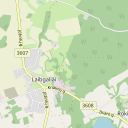 Map - Rokiškio r. sav. Laibgalių k. Parko g. 4