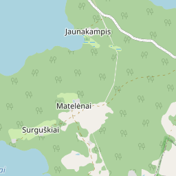 Žemėlapis - Molėtų r. sav. Surguškių k.