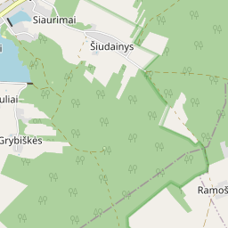 Žemėlapis - Šalčininkų r. sav. Poškonių k. Centrinė g. 19