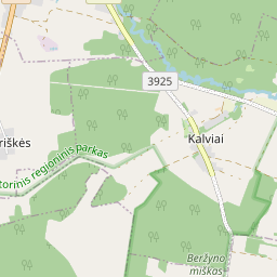 Žemėlapis - Šalčininkų r. sav. Dieveniškių mstl. Geranionų g. 40