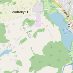 Žemėlapis - Rokiškio r. sav. Audronių I k. Papilių g. 4B