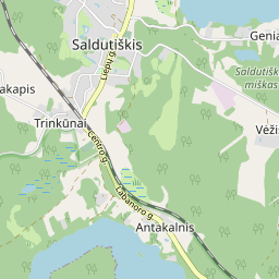 Map - Utenos r. sav. Saldutiškio mstl. Laisvės a. 4