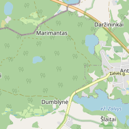 Žemėlapis - Zarasų r. sav. Antazavės k. Zalvės g. 13