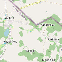 Map - Zarasų r. sav. Raudinės k. Dvaro g. 4