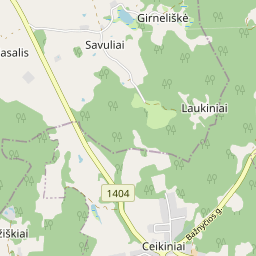 Žemėlapis - Ignalinos r. sav. Ceikinių k.