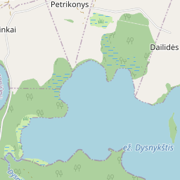 Žemėlapis - Ignalinos r. sav. Petrikonių k. 3