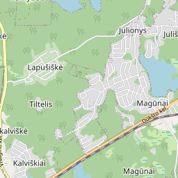 Map - Visagino sav. Kalviškių k. Pamiškės g. 11