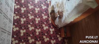 2 kambarių butas Tauragėje, Miško g. 10, parduodamas aukcione už 33600 EUR