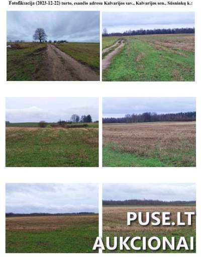 Žemės ūkio paskirties sklypo 1/2 dalis Kalvarijos savivaldybėje, Sūsninkų kaime, pradinė kaina 15900 EUR