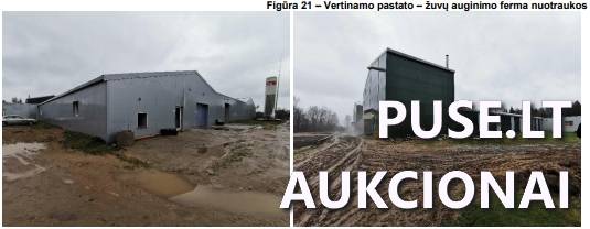 Žemės sklypas Sklypai Kaštonų g. 15, 33322 Skudutiškis, Suginčių sen., Molėtų r. sav. 4