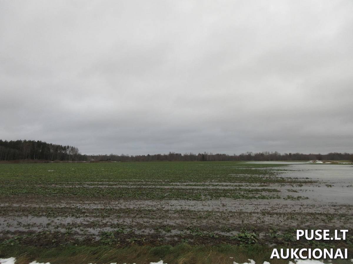Žemės sklypas Sklypai Lenkimų g., Lenkimai, Lenkimų sen., Skuodo r. sav. 1