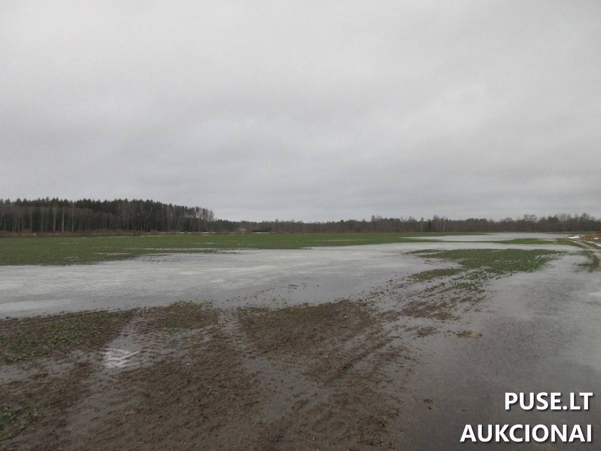 Žemės sklypas Sklypai Lenkimų g., Lenkimai, Lenkimų sen., Skuodo r. sav. 3