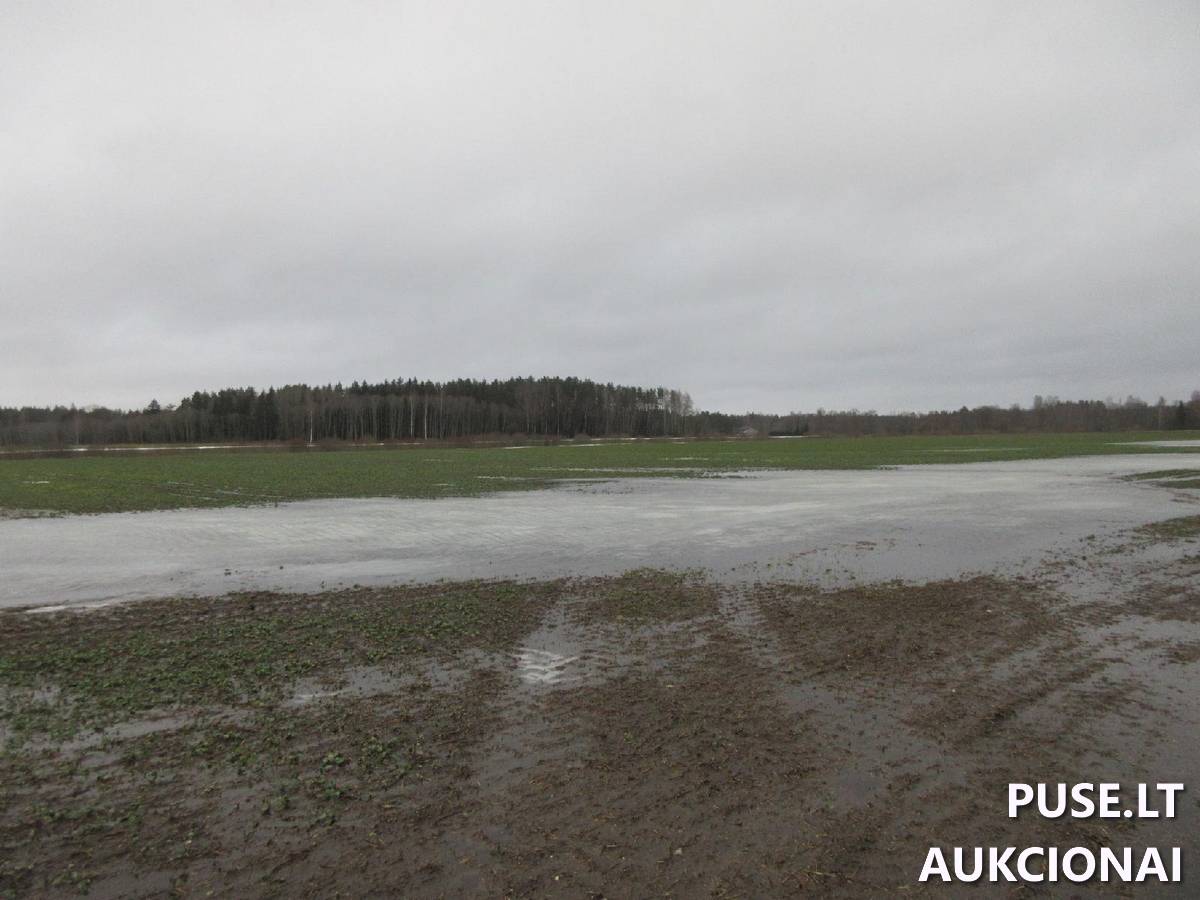 Žemės sklypas Sklypai Lenkimų g., Lenkimai, Lenkimų sen., Skuodo r. sav. 4