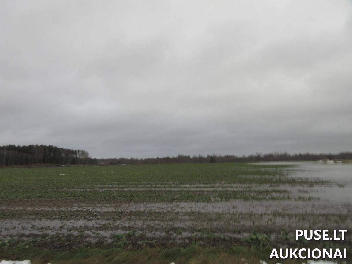 Žemės sklypas Sklypai Lenkimų g., Lenkimai, Lenkimų sen., Skuodo r. sav. 7
