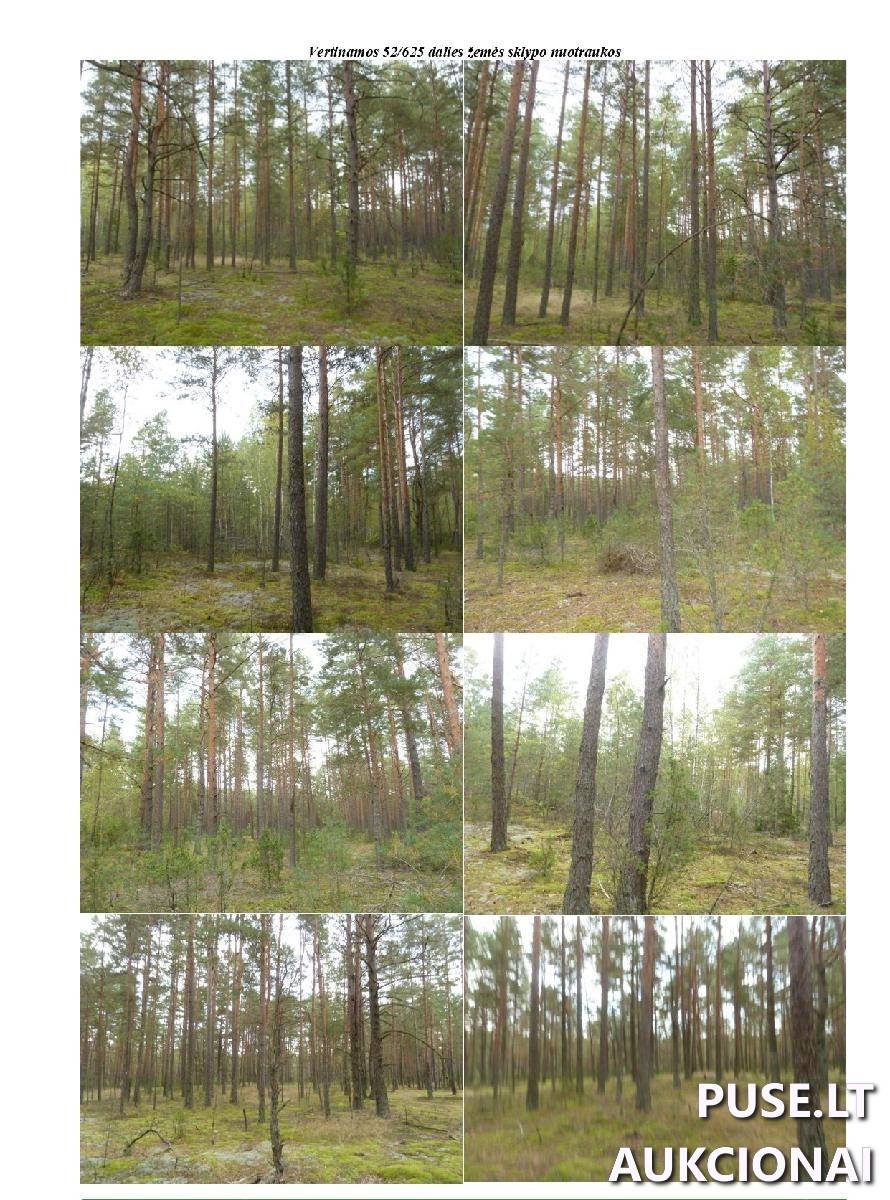 Žemės sklypas Sklypai Jaskonių g., Jaskonys, Viečiūnų sen., Druskininkų sav. 2