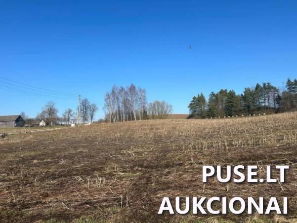 Žemės sklypas Sklypai Bagdononys, Seirijų sen., Lazdijų r. sav. 4