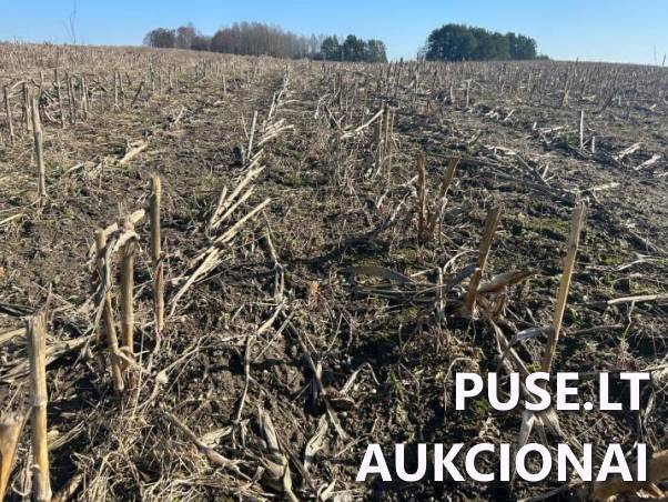 Žemės sklypas Sklypai Bagdononys, Seirijų sen., Lazdijų r. sav. 9