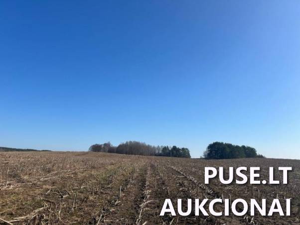 Žemės sklypas Sklypai Bagdononys, Seirijų sen., Lazdijų r. sav. 10