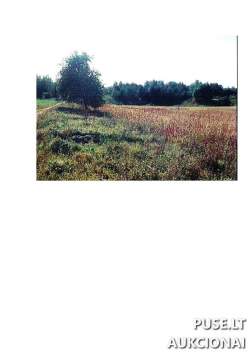 Sklypai - Žemės sklypas