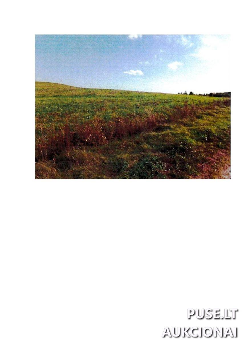 Žemės sklypas Sklypai Palapiškės, Stakliškių sen., Prienų r. sav. 1