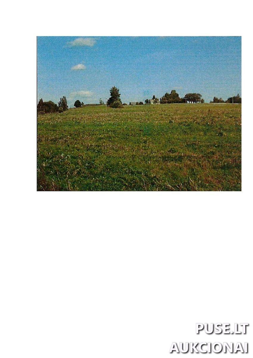 Žemės sklypas Sklypai Palapiškės, Stakliškių sen., Prienų r. sav. 2