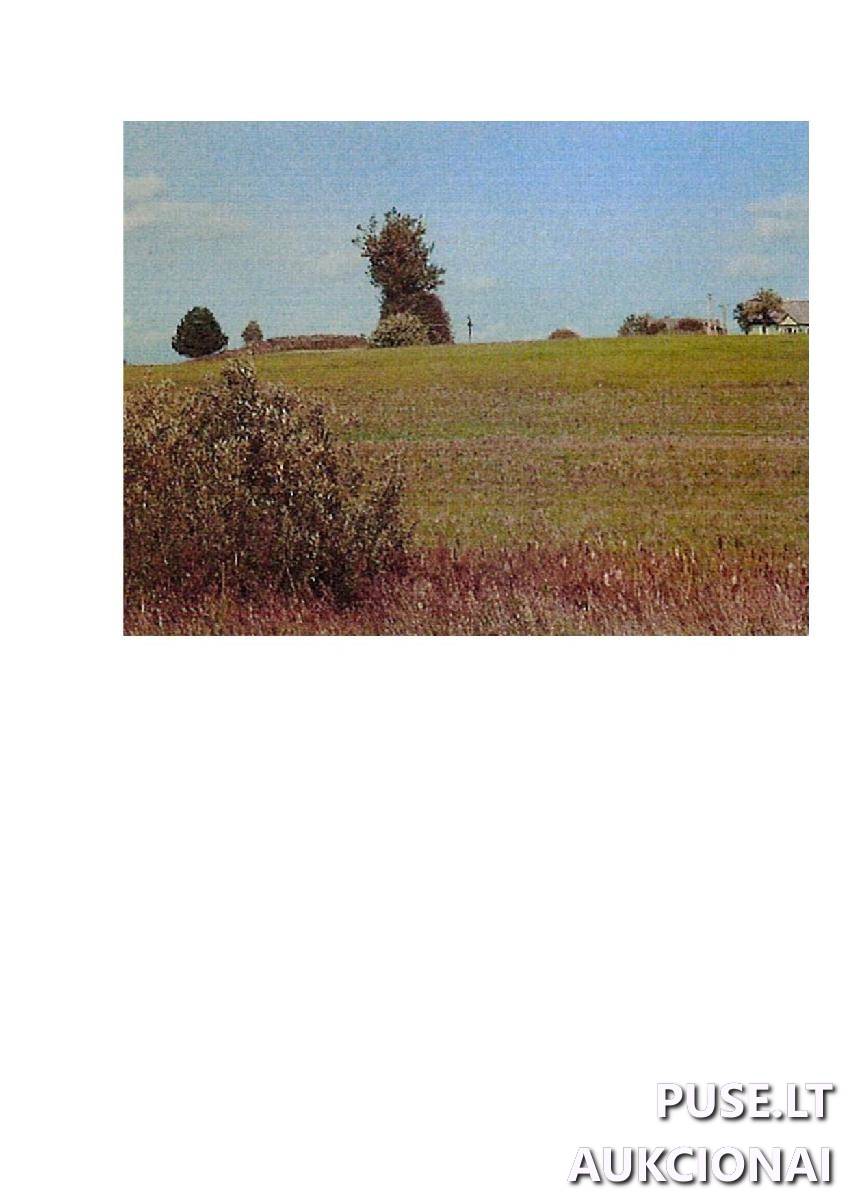 Žemės sklypas Sklypai Palapiškės, Stakliškių sen., Prienų r. sav. 3