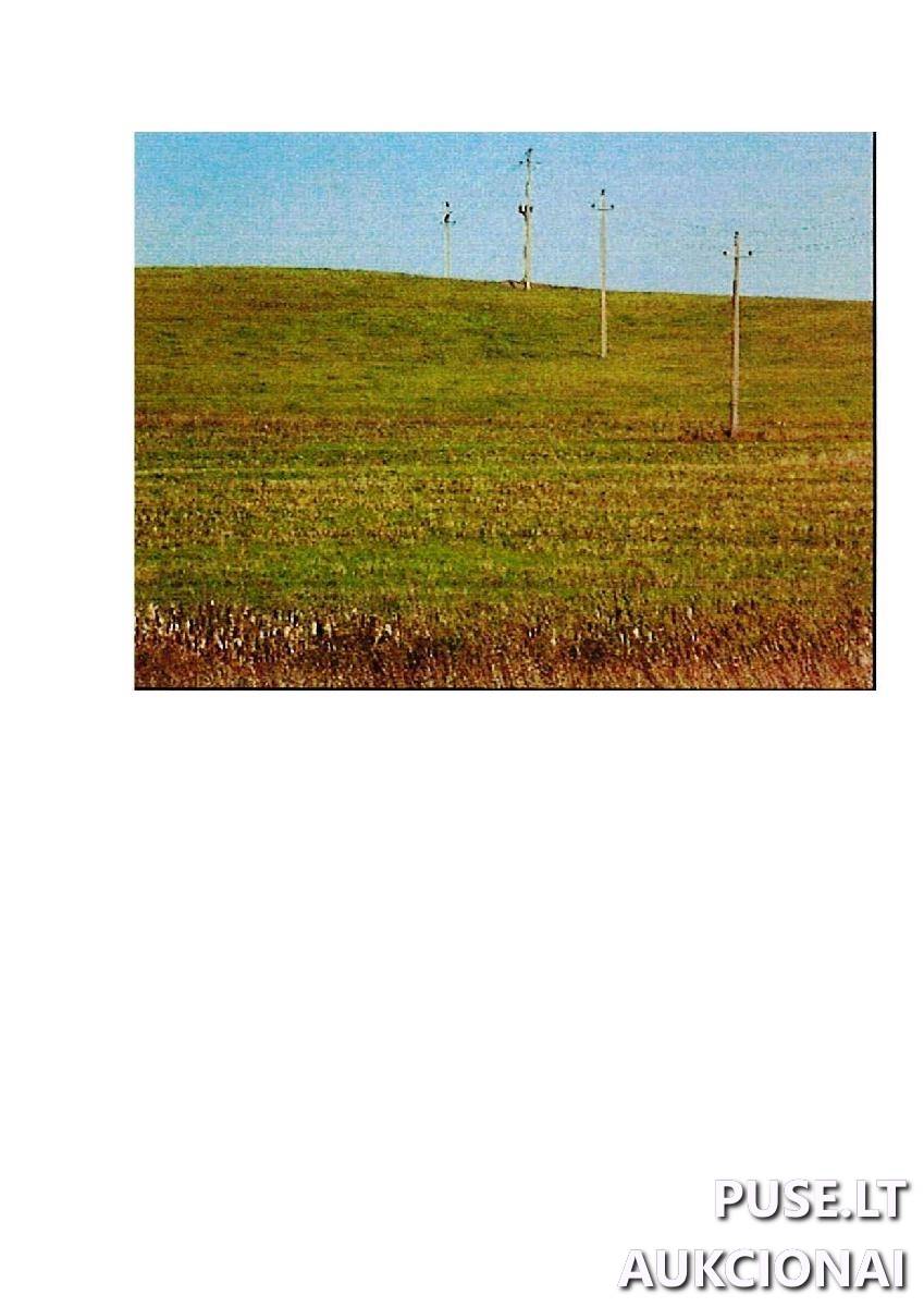 Žemės sklypas Sklypai Palapiškės, Stakliškių sen., Prienų r. sav. 4